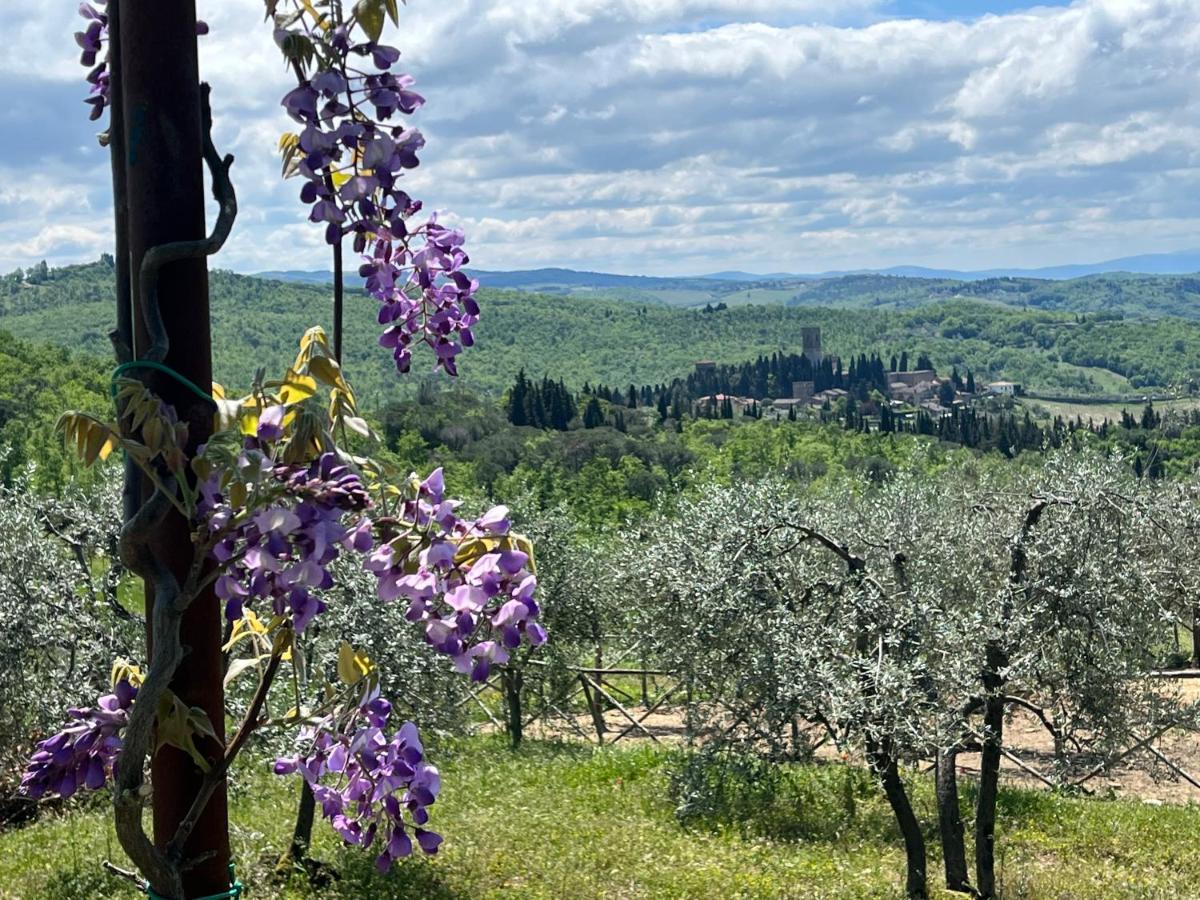 Appartement Il Fiorino Di Badia à Badia A Passigano Extérieur photo