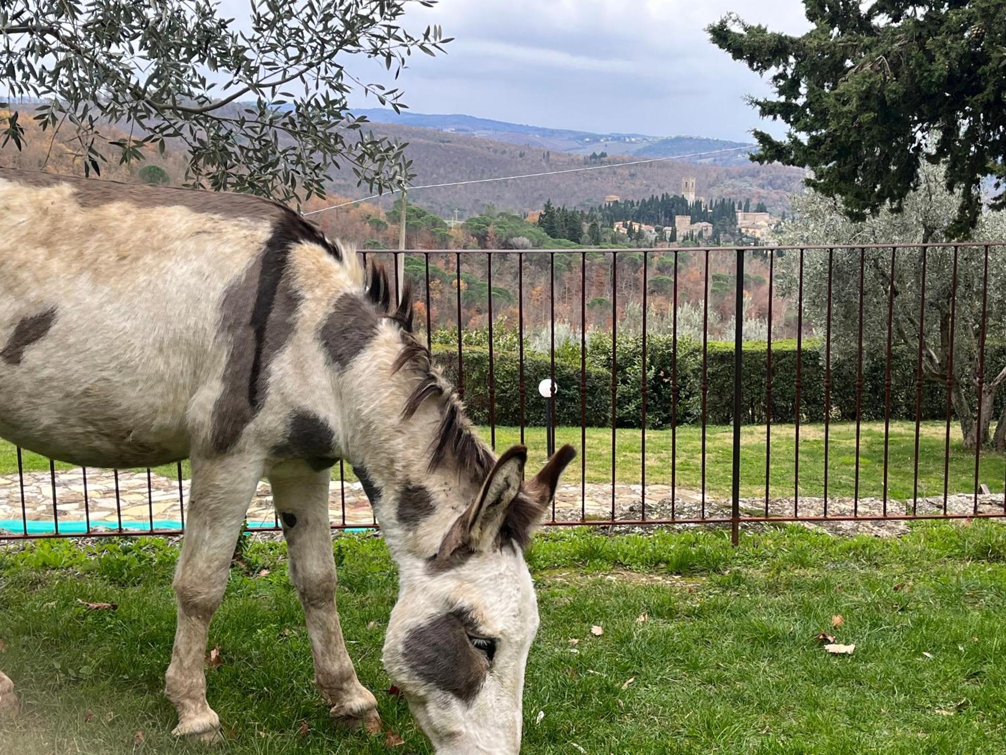 Appartement Il Fiorino Di Badia à Badia A Passigano Extérieur photo
