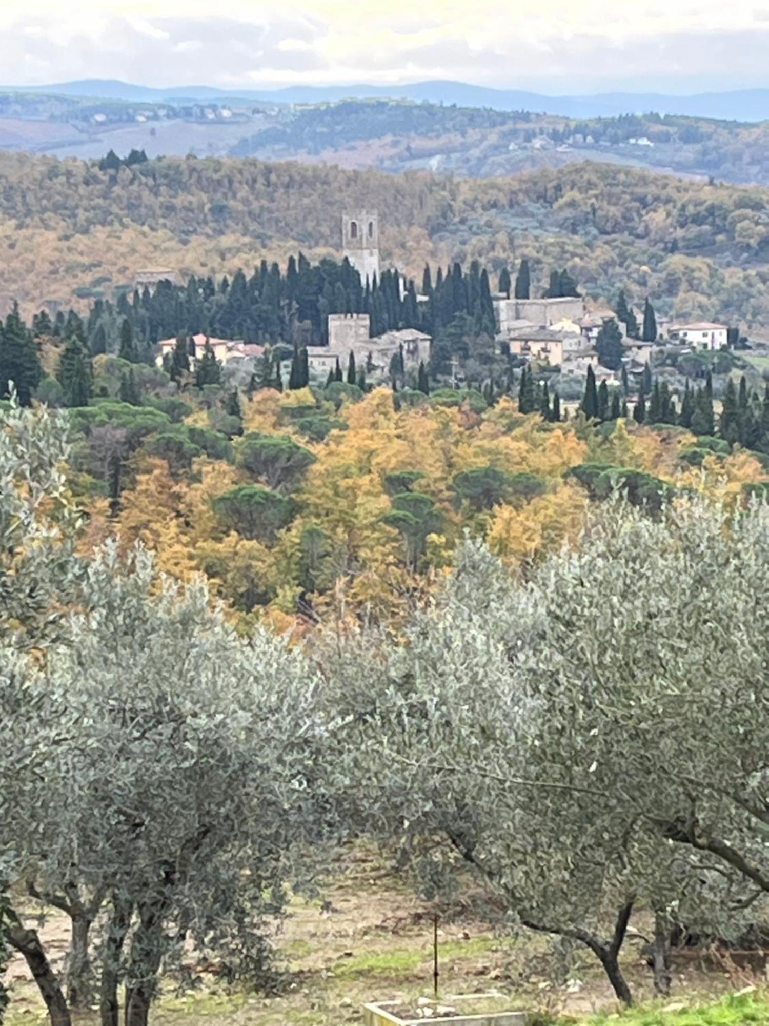 Appartement Il Fiorino Di Badia à Badia A Passigano Extérieur photo