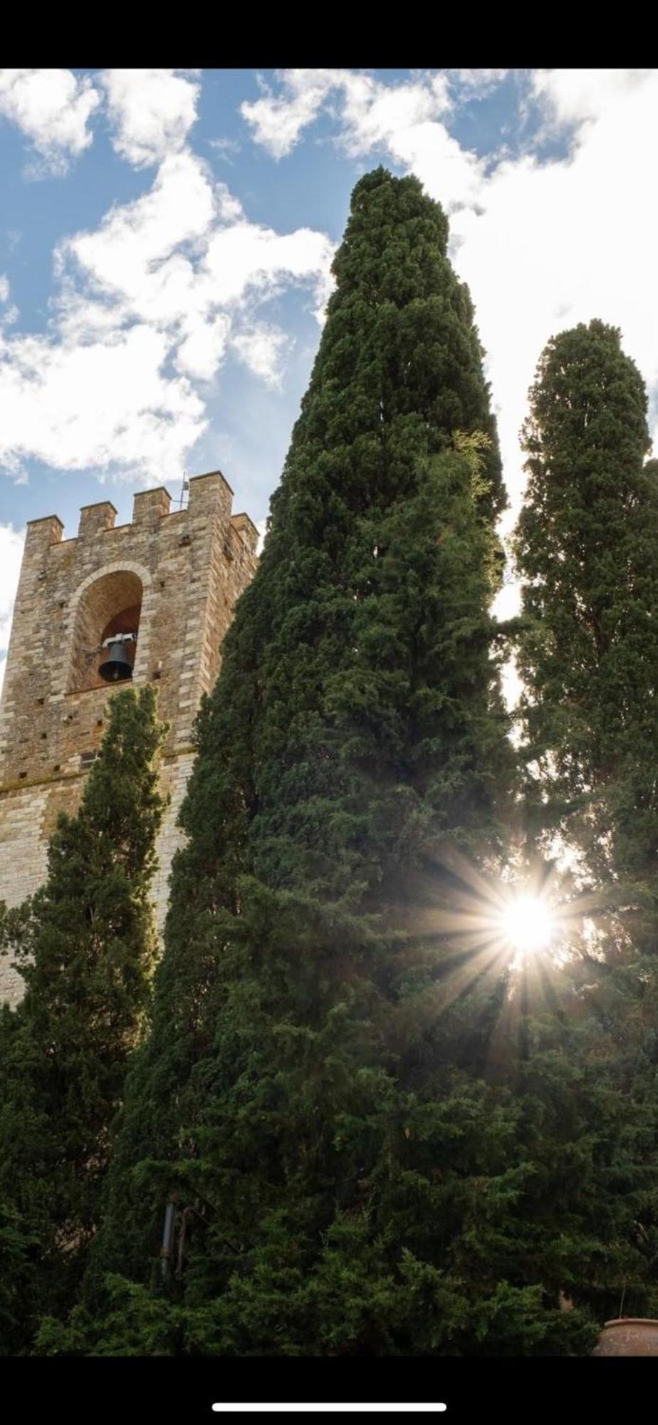 Appartement Il Fiorino Di Badia à Badia A Passigano Extérieur photo