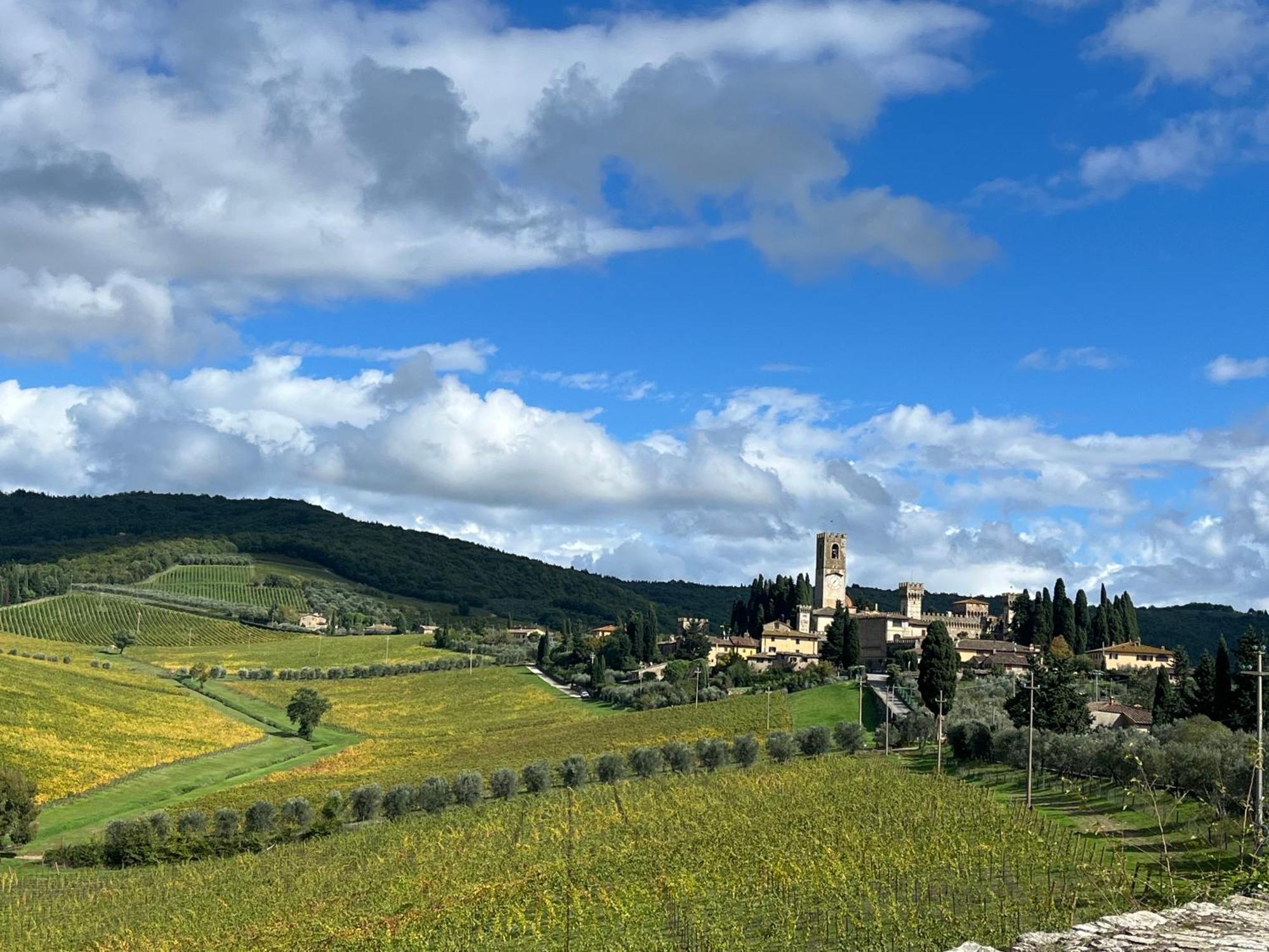 Appartement Il Fiorino Di Badia à Badia A Passigano Extérieur photo